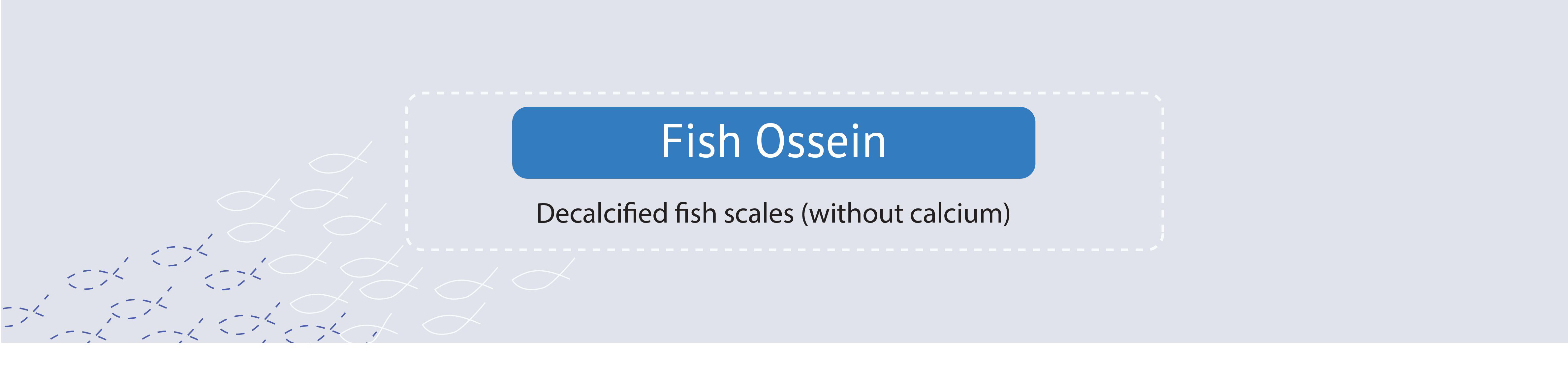 fish-ossein