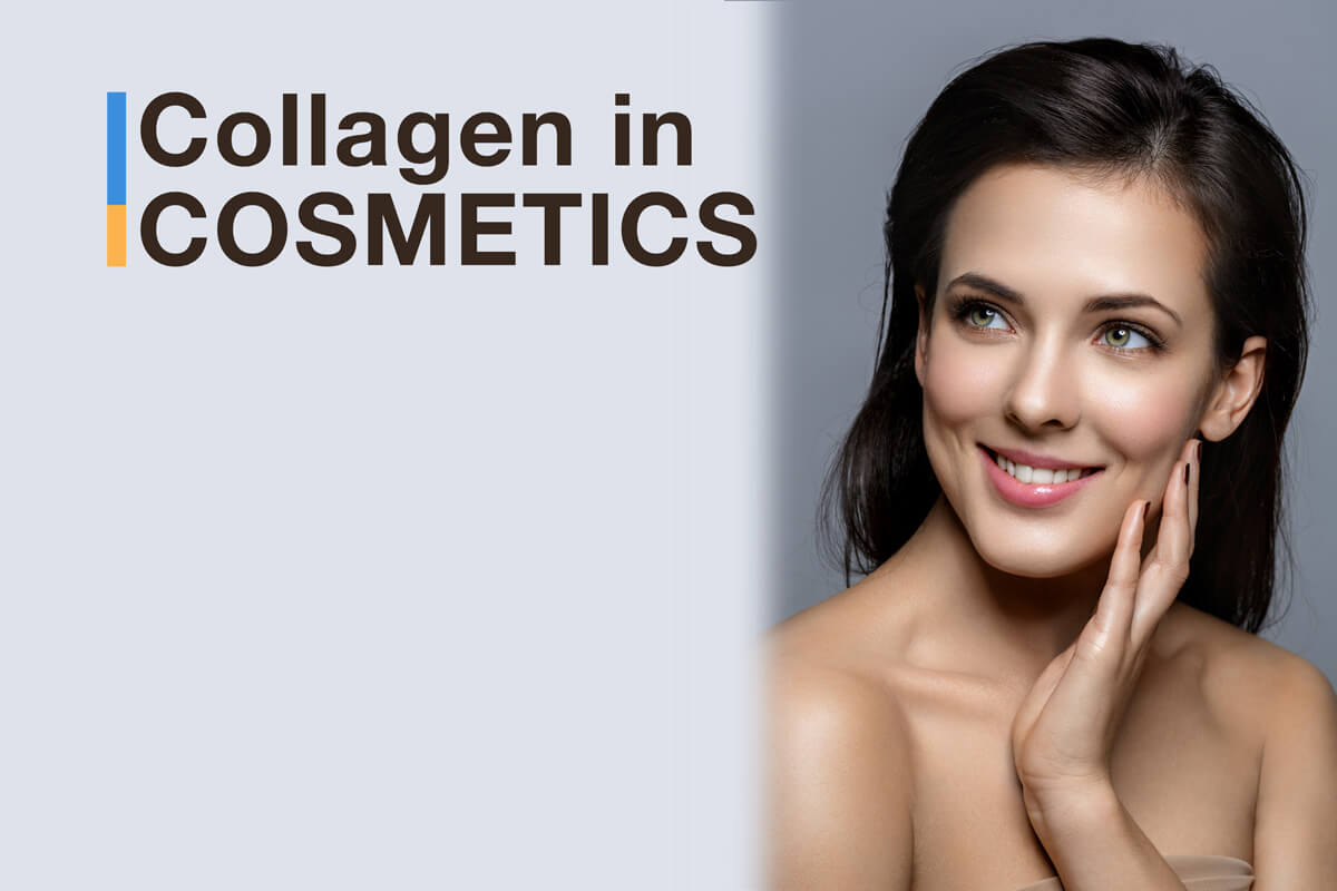 collagen in cosmetics