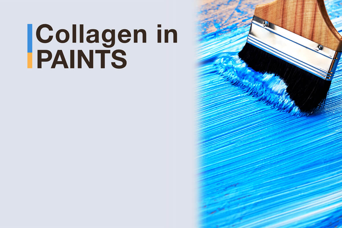 collagen in piants