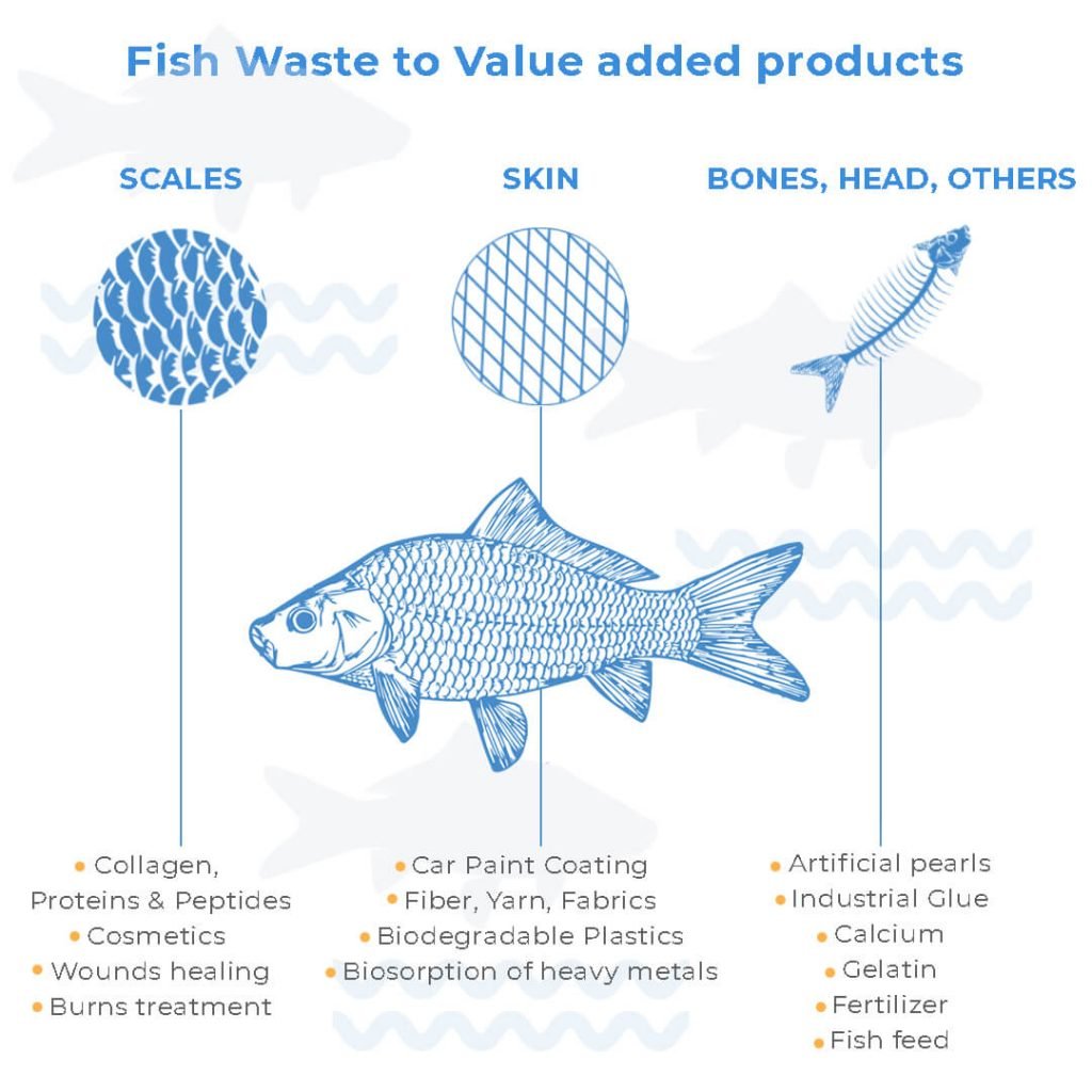 Cycling Tons of Fish Scales | Nizona Marine Products