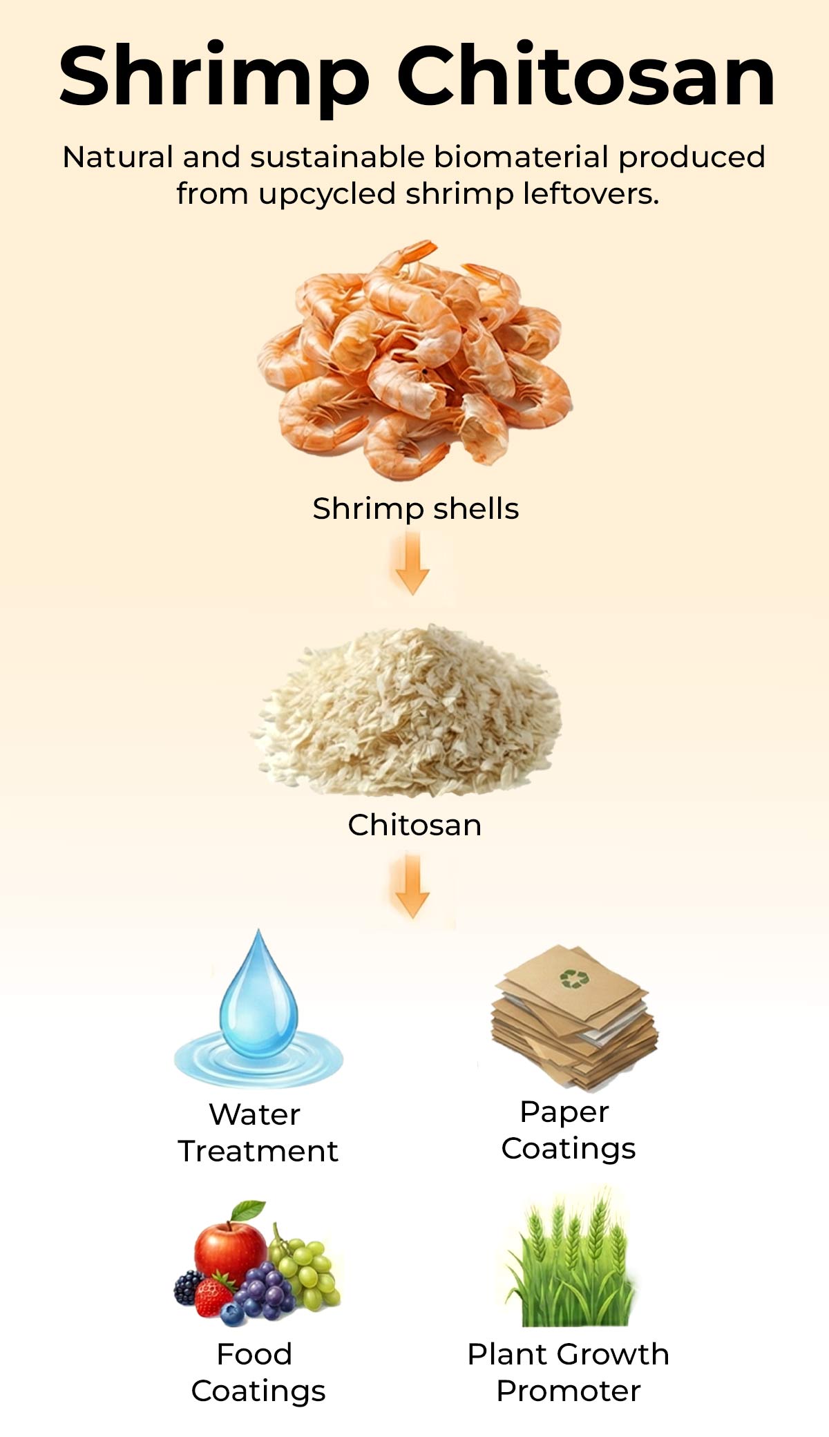 Chitosan-520-x-300-mobile-version (1)