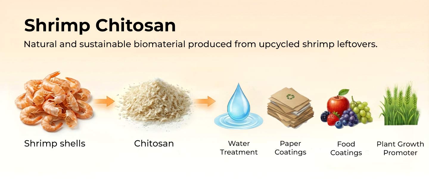 NMP-Chitosan-1440-x-600-2