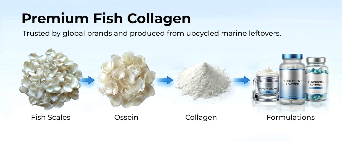 NMP-Collagen-1440-x-600-1