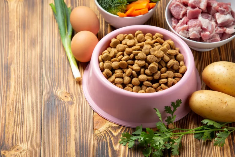 Pet Food & Animal Nutrition